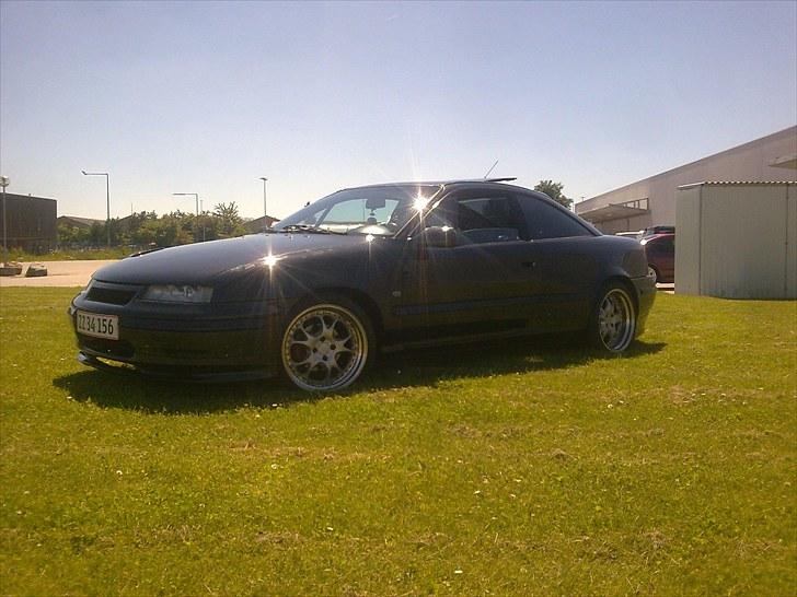 Opel Calibra Evolution  billede 3