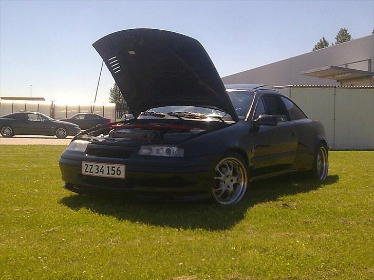 Opel Calibra Evolution  billede 14