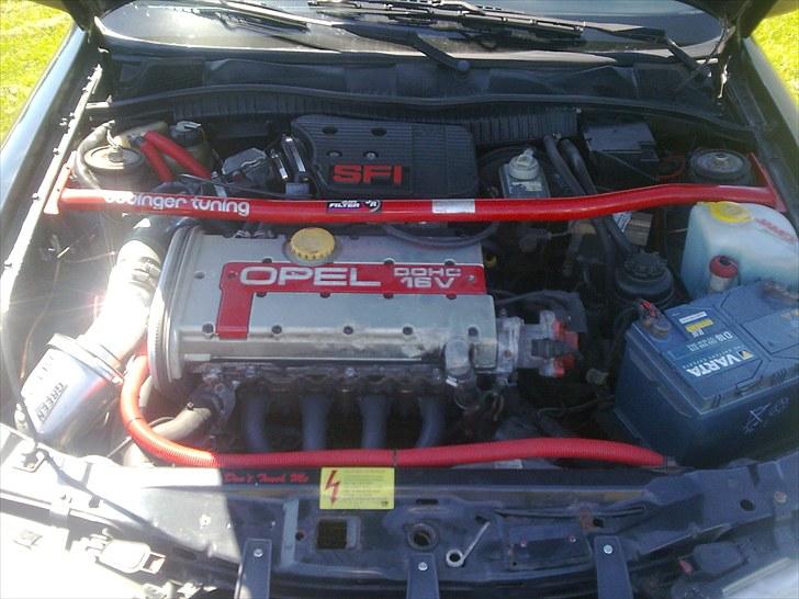 Opel Calibra Evolution  billede 20