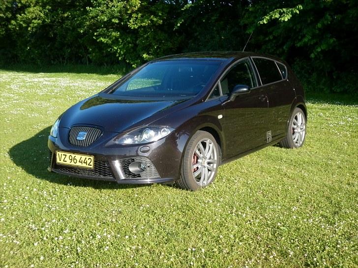 Seat Leon Cupra - SOLGT billede 1