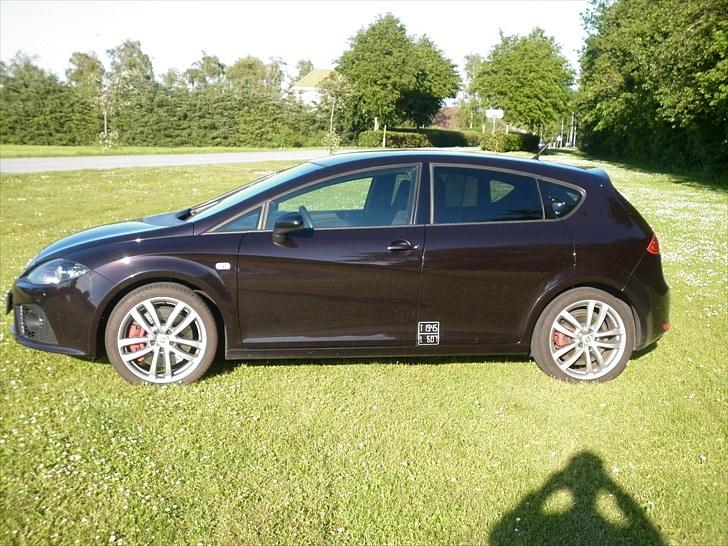 Seat Leon Cupra - SOLGT billede 2