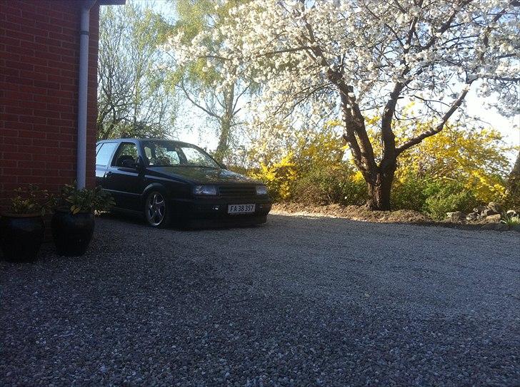 VW Vento VR6 billede 1