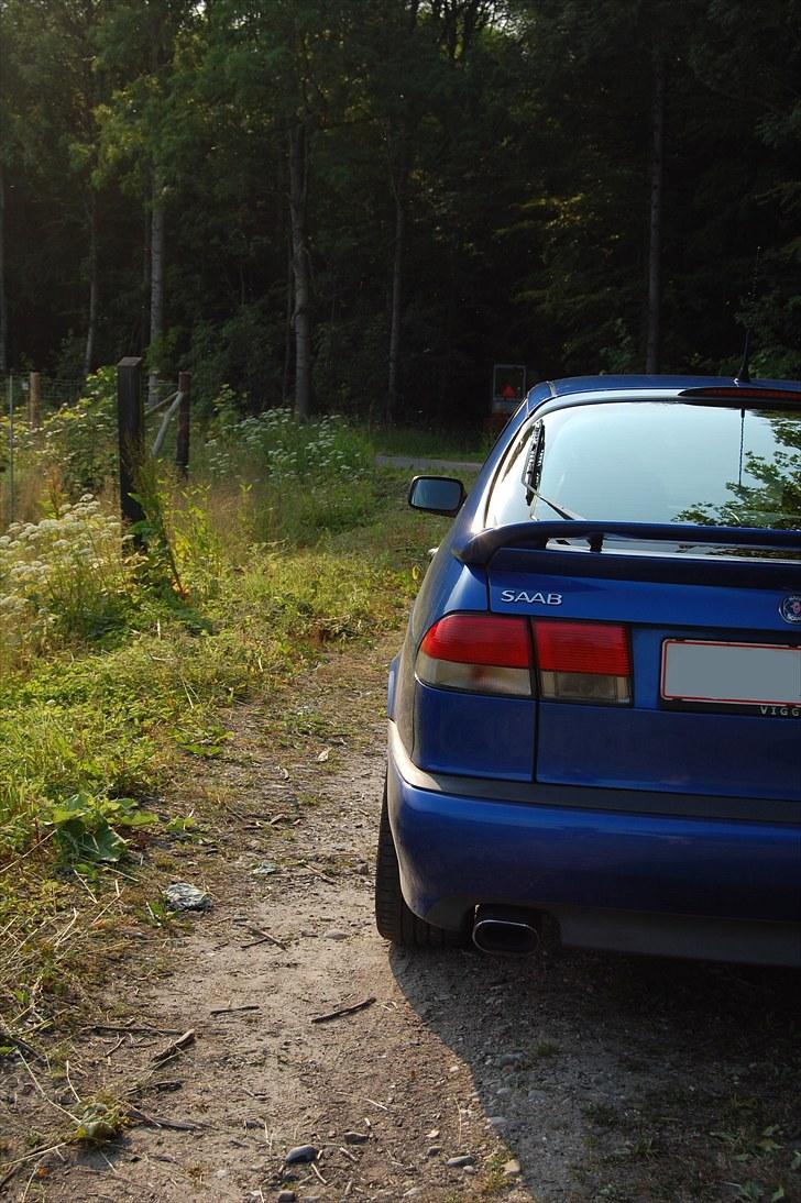Saab 9-3 VIGGEN billede 5