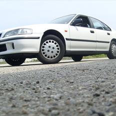 Honda Accord MK V (SOLGT)