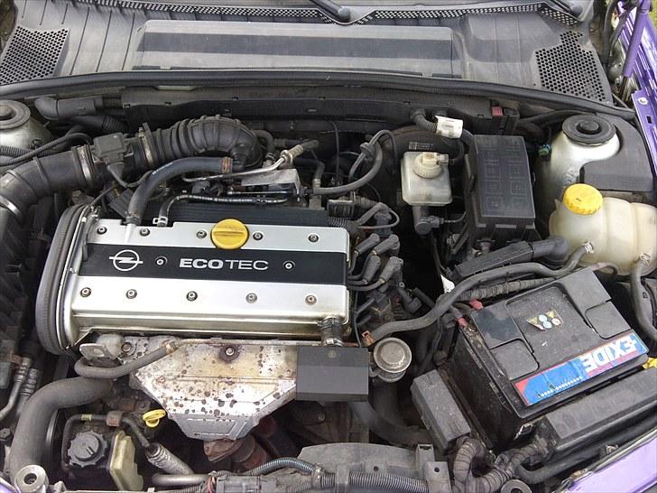 Opel vectra B R.I.P SPORT billede 11