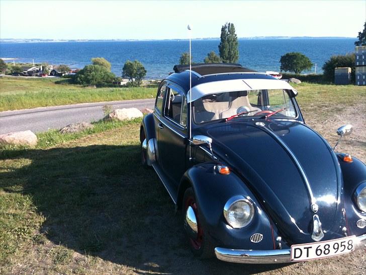 VW Bobbel  billede 2