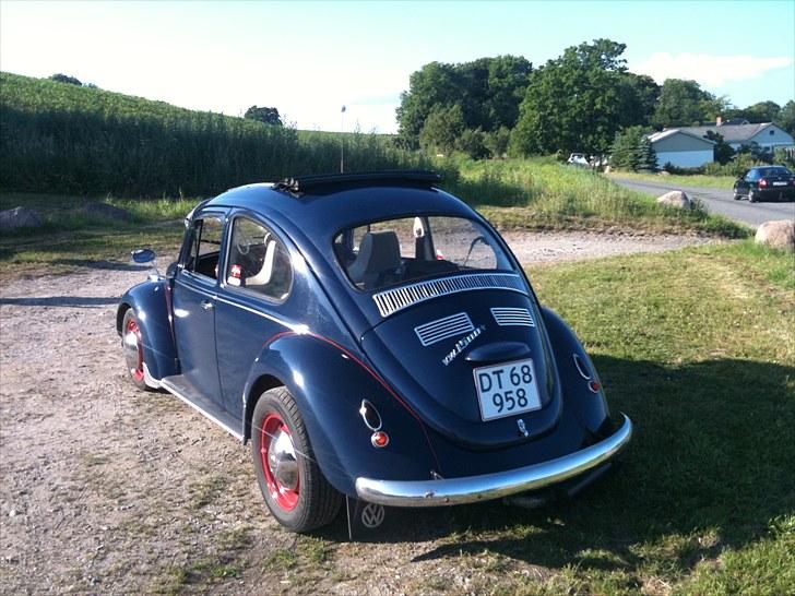 VW Bobbel  billede 3
