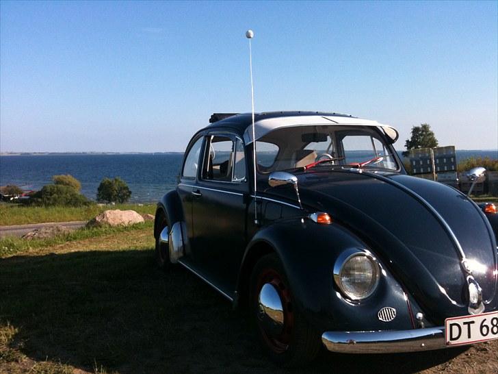 VW Bobbel  billede 5