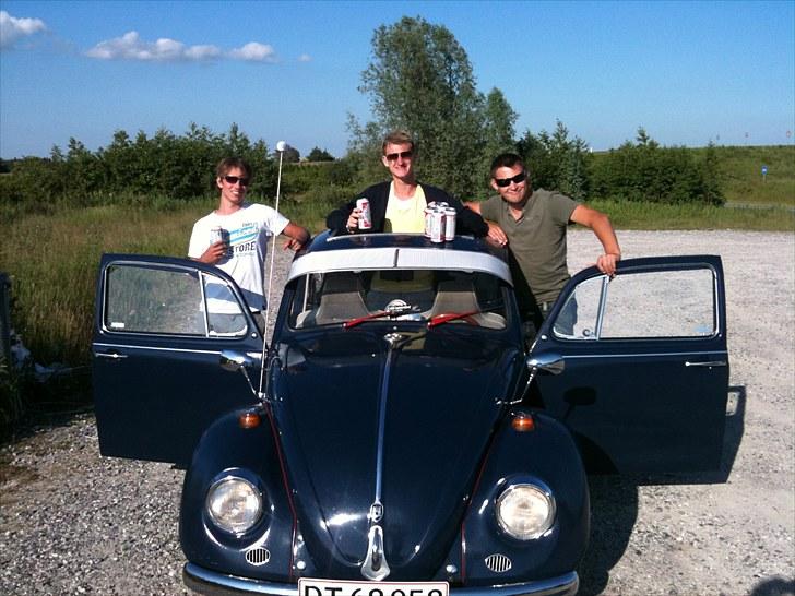 VW Bobbel  billede 7