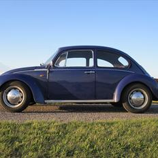 VW 1303