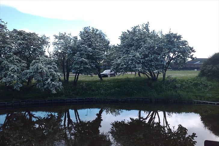 VW Solgt - Golf TDI GTI billede 20