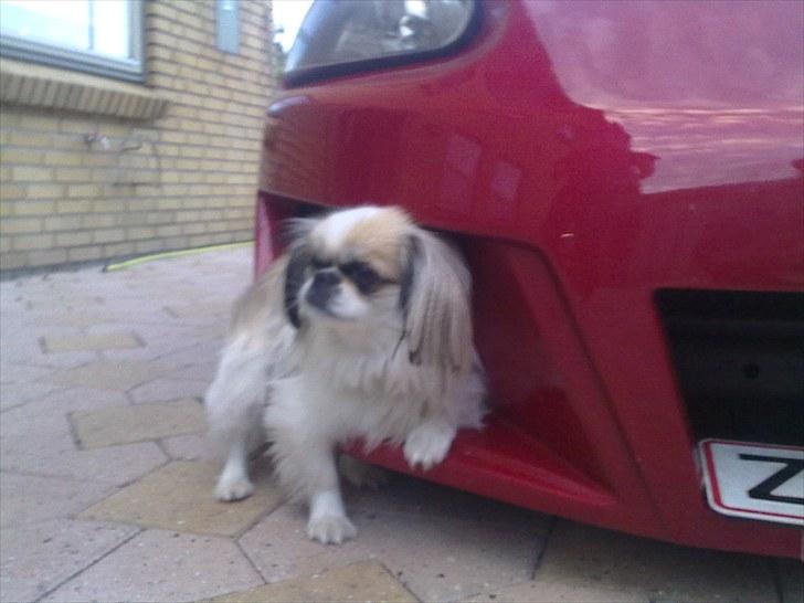 Honda crx del sol billede 14