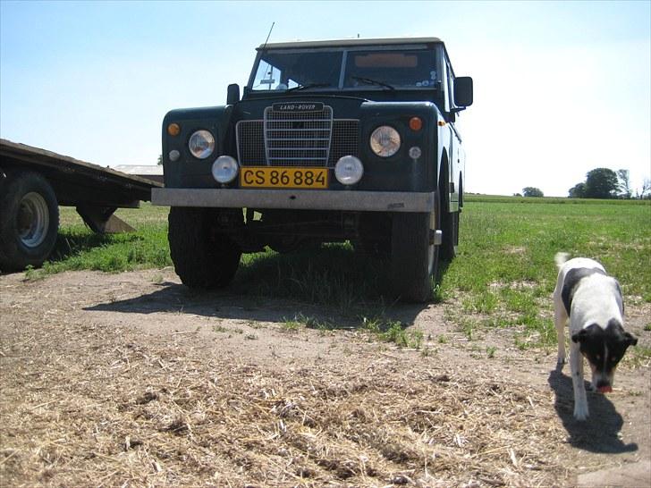 Land Rover 88" - den stolte ældre dame billede 2