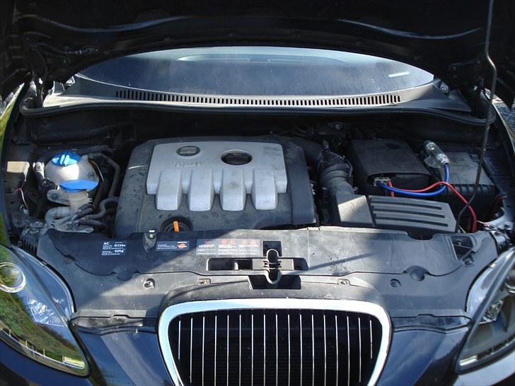 Seat Altea "Solgt" billede 9