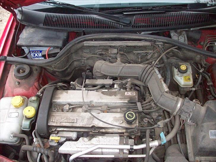 Ford Escort Monaco Solgt!!! - JA! Den kunne måske godt bruge en vask!! ;D billede 8