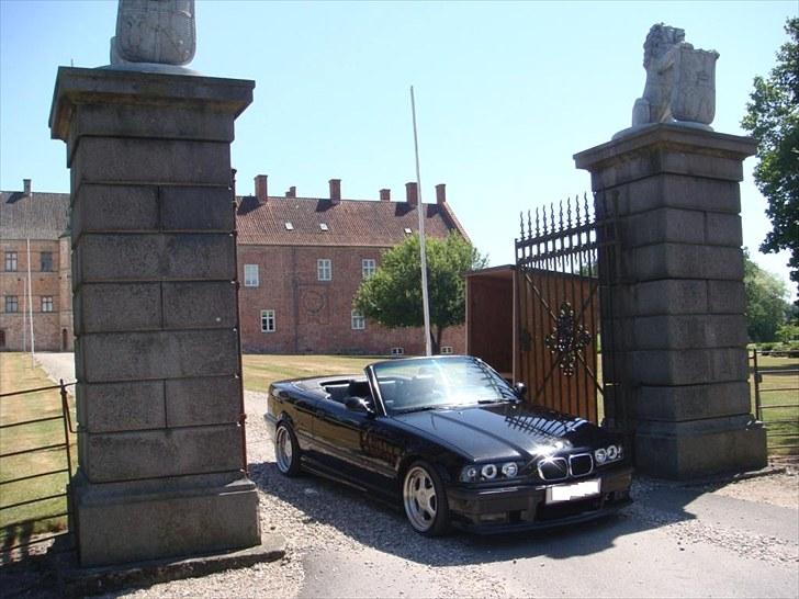 BMW 325i Cabriolet - Solgt billede 7