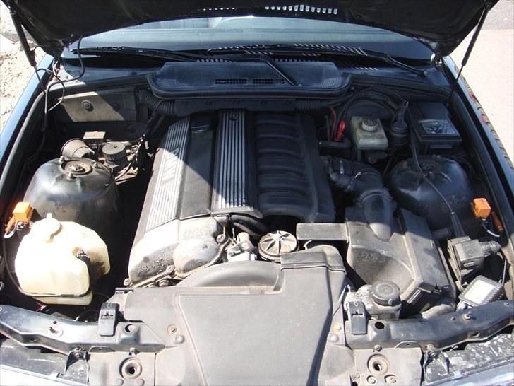 BMW 325i Cabriolet - Solgt billede 20