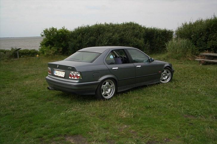 BMW e36 323i billede 6