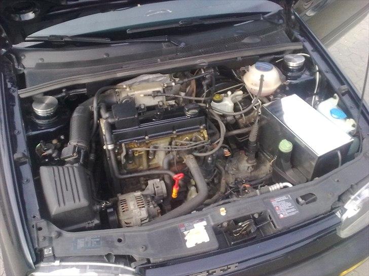 VW Golf III Gti Jubii  billede 8