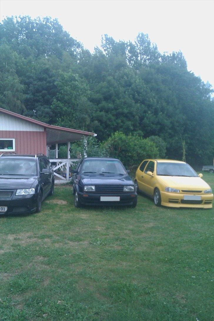 VW polo - Mine 3 damer :-) billede 8