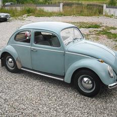 VW Bobbel 113