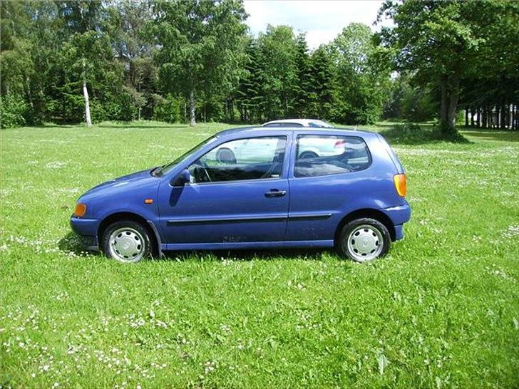 VW Polo 6N - Sådan så den ud inden jeg fik fingrene i den. billede 13