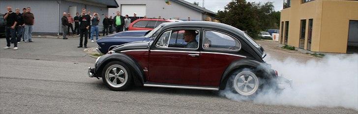 VW Type 1 Bobbel billede 6