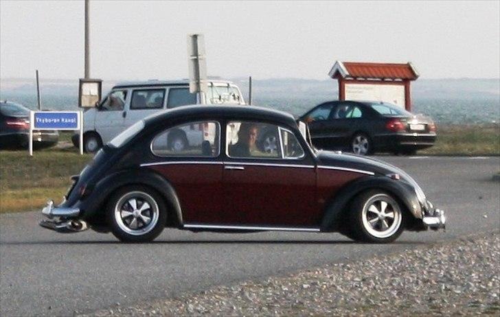 VW Type 1 Bobbel billede 8