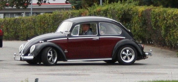 VW Type 1 Bobbel billede 16