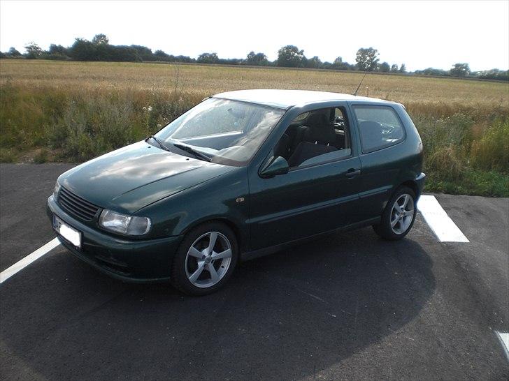 VW Polo 6N (Byttet) billede 6