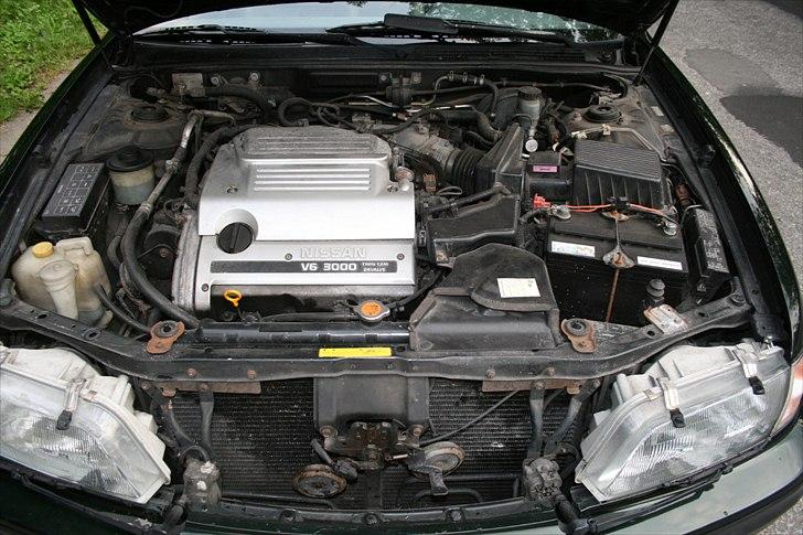 Nissan Maxima 3.0 QX *SOLGT* billede 12