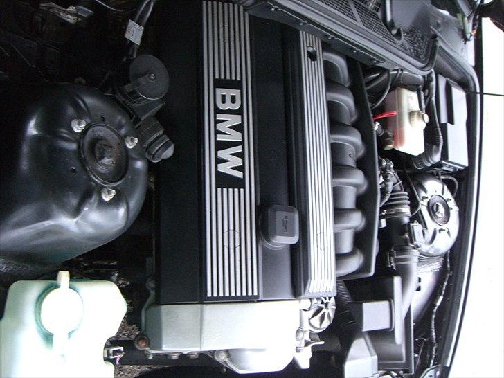 BMW E36 328i Coupe billede 16