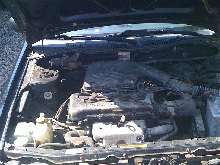 Nissan Sunny LX 1,4 Twin Cam (Skrottet) :'( - En lille twin cam motor ;D billede 5