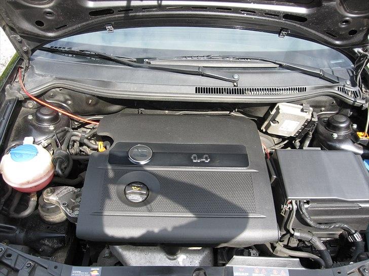 Seat Ibiza billede 5