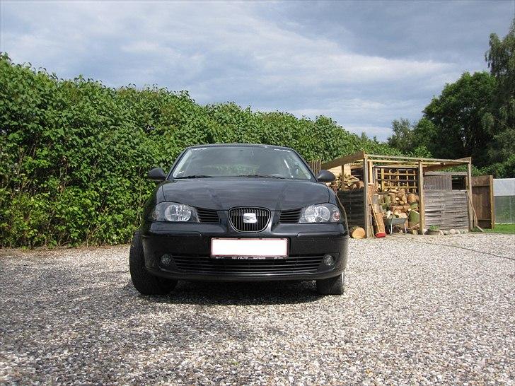 Seat Ibiza billede 8