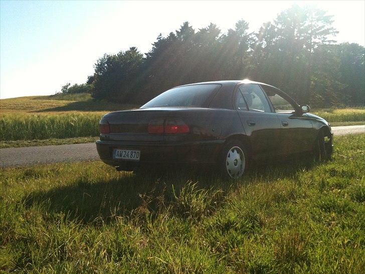 Opel Omega 2,0 16v billede 14