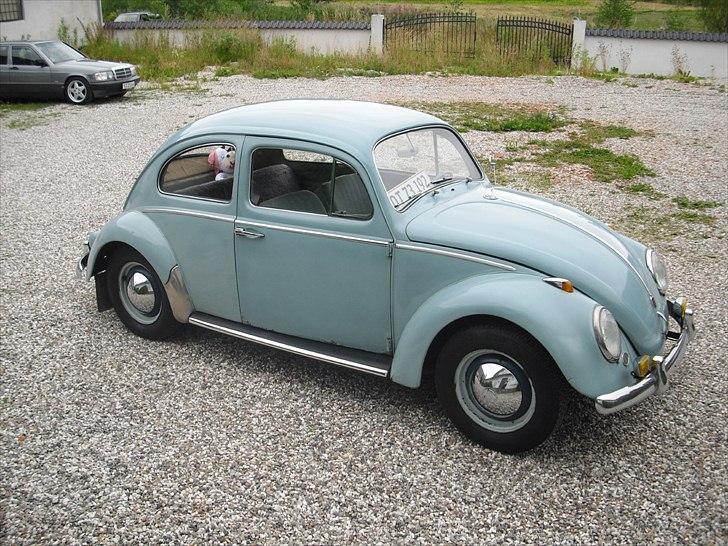 VW Bobbel 113 billede 2