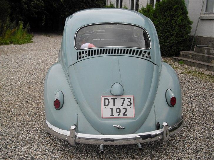 VW Bobbel 113 billede 7