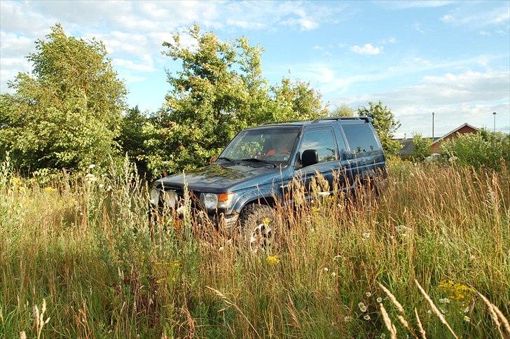 Mitsubishi  Pajero 2,5 TD GL pick-up - græsset gik mig til lige omkring maven.. :D billede 14