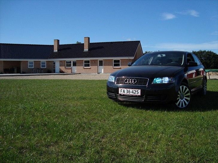Audi A3 Solgt billede 12