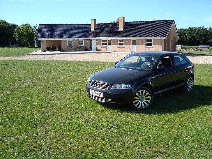 Audi A3 Solgt billede 13