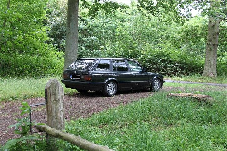 BMW E30 325i Touring (Solgt) - Tur i skoven, fyldt med myg. billede 4