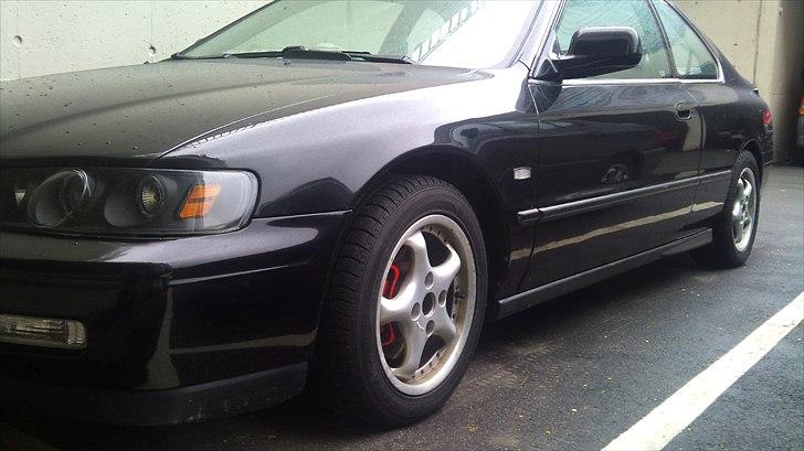 Honda accord coupe billede 1