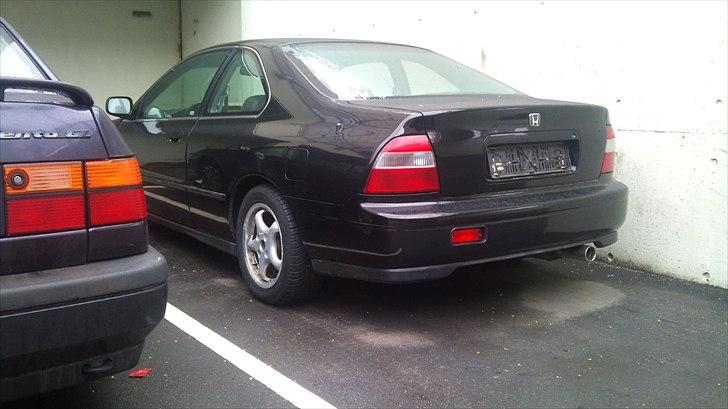 Honda accord coupe billede 4