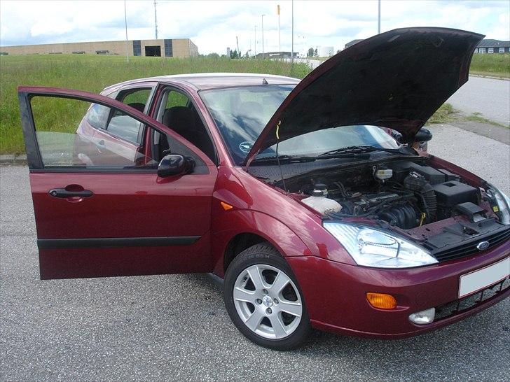Ford Focus 1,6 hatch {Solgt billede 5