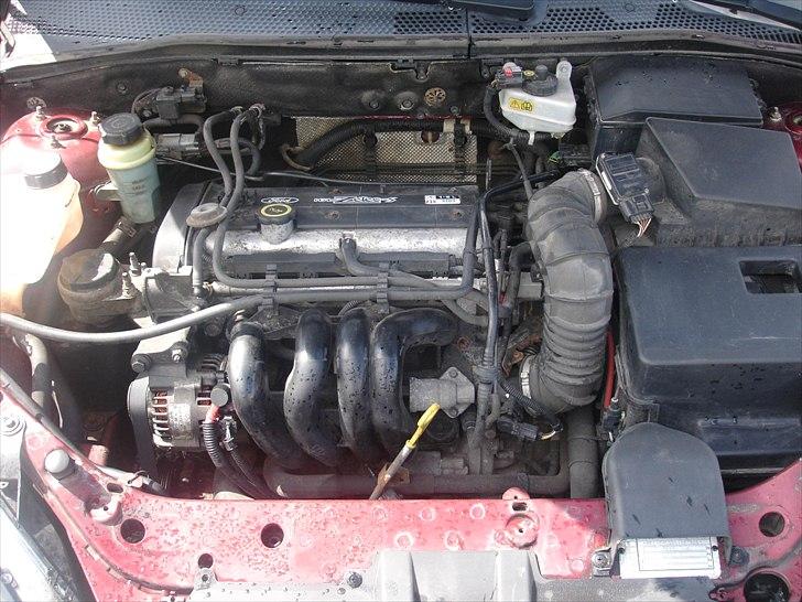 Ford Focus 1,6 hatch {Solgt billede 6