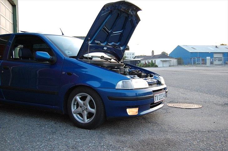 Fiat punto billede 4