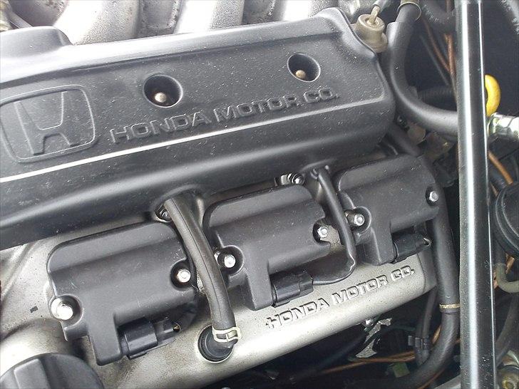 Honda Legend Coupe billede 15