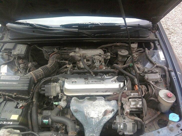 Honda accord billede 7