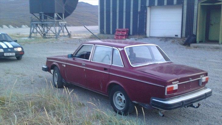 Volvo 244 dl billede 3